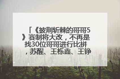 《披荆斩棘的哥哥5》赛制将大改，不再是找30位哥哥进行比拼，苏醒、王栎鑫、王铮亮、张远等多名男团选手被曝将参加