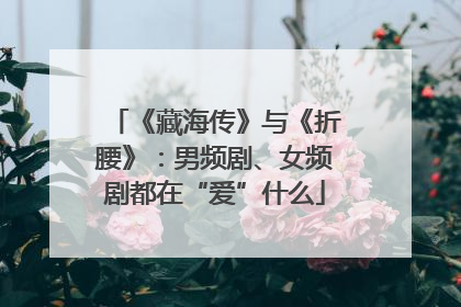 《藏海传》与《折腰》：男频剧、女频剧都在“爱”什么