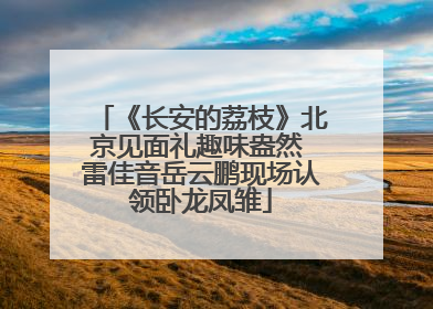 《长安的荔枝》北京见面礼趣味盎然 雷佳音岳云鹏现场认领卧龙凤雏