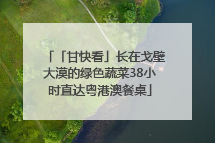 「甘快看」长在戈壁大漠的绿色蔬菜38小时直达粤港澳餐桌