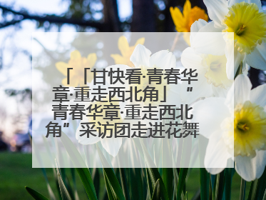 「甘快看·青春华章·重走西北角」“青春华章·重走西北角”采访团走进花舞南山 探寻天水乡村振兴之路