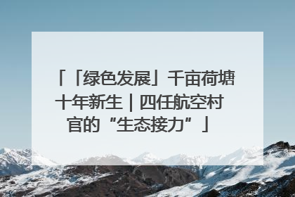 「绿色发展」千亩荷塘 十年新生｜四任航空村官的“生态接力”