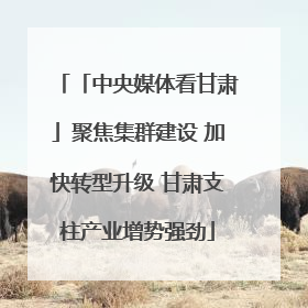 「中央媒体看甘肃」聚焦集群建设 加快转型升级 甘肃支柱产业增势强劲