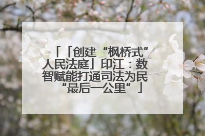 「创建“枫桥式”人民法庭」印江：数智赋能打通司法为民“最后一公里”