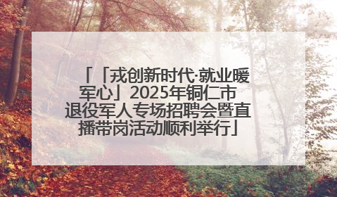 「戎创新时代·就业暖军心」2025年铜仁市退役军人专场招聘会暨直播带岗活动顺利举行