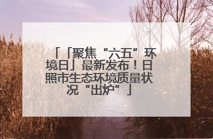 「聚焦“六五”环境日」最新发布！日照市生态环境质量状况“出炉”