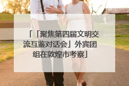 「聚焦第四届文明交流互鉴对话会」外宾团组在敦煌市考察