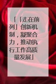 「走在前列」创新机制，凝聚合力，推动执行工作高质量发展