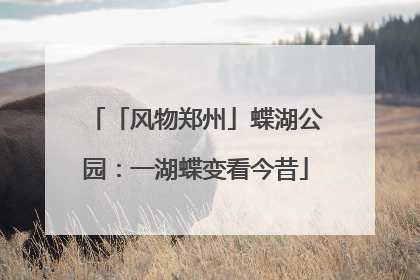「风物郑州」蝶湖公园：一湖蝶变看今昔