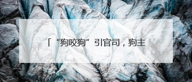 “狗咬狗”引官司，狗主人屡次不牵狗绳担全责