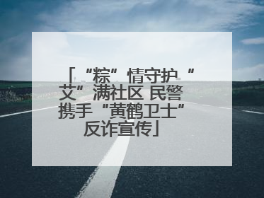 “粽”情守护“艾”满社区 民警携手“黄鹤卫士”反诈宣传