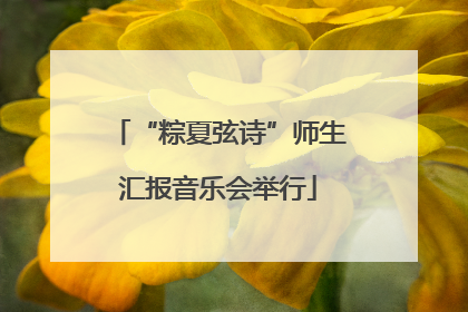 “粽夏弦诗”师生汇报音乐会举行
