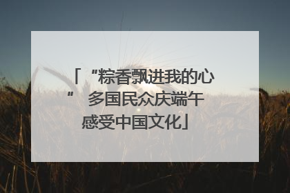 “粽香飘进我的心” 多国民众庆端午感受中国文化