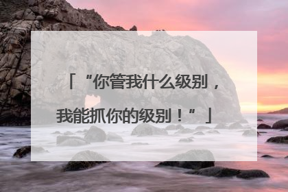 “你管我什么级别，我能抓你的级别！”