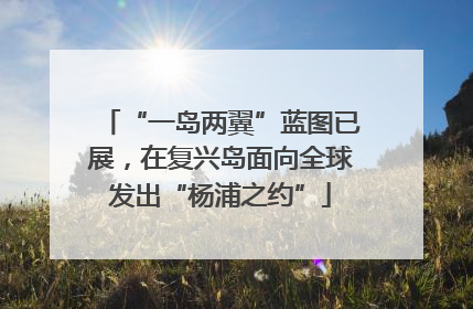 “一岛两翼”蓝图已展，在复兴岛面向全球发出“杨浦之约”