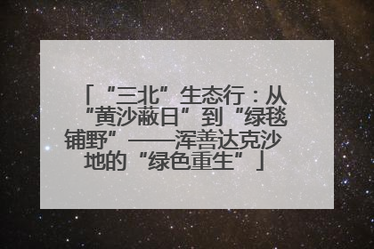 “三北”生态行：从“黄沙蔽日”到“绿毯铺野”——浑善达克沙地的“绿色重生”