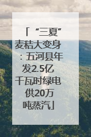 “三夏”麦秸大变身：五河县年发2.5亿千瓦时绿电 供20万吨蒸汽