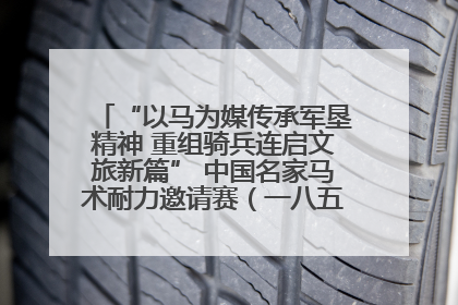 “以马为媒传承军垦精神 重组骑兵连启文旅新篇” 中国名家马术耐力邀请赛（一八五团站）暨重启骑兵连活动正式启动