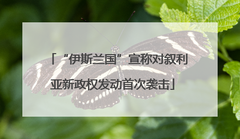 “伊斯兰国”宣称对叙利亚新政权发动首次袭击