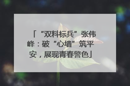 “双料标兵”张伟峰：破“心墙”筑平安，展现青春警色