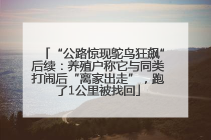 “公路惊现鸵鸟狂飙”后续：养殖户称它与同类打闹后“离家出走”，跑了1公里被找回