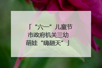 “六一”儿童节 市政府机关三幼萌娃“嗨翻天”