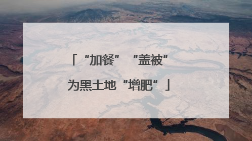 “加餐”“盖被” 为黑土地“增肥”