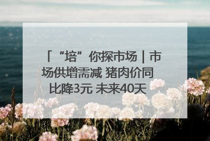 “培”你探市场｜市场供增需减 猪肉价同比降3元 未来40天便宜猪肉敞开吃