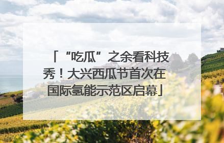 “吃瓜”之余看科技秀！大兴西瓜节首次在国际氢能示范区启幕