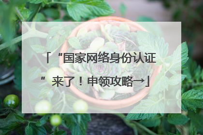 “国家网络身份认证”来了！申领攻略→