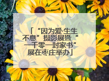 “因为爱·生生不息”摄影展暨“一千零一封家书”展在枣庄举办