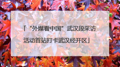 “外媒看中国”武汉段采访活动首站打卡武汉经开区
