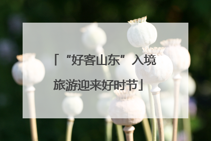 “好客山东”入境旅游迎来好时节