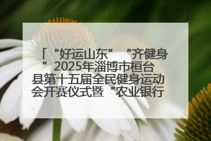 “好运山东”“齐健身”2025年淄博市桓台县第十五届全民健身运动会开赛仪式暨“农业银行杯”第一届社区工作队伍运动会开赛