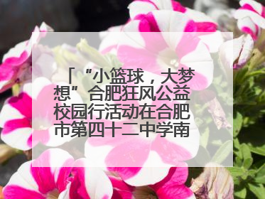 “小篮球，大梦想”合肥狂风公益校园行活动在合肥市第四十二中学南城分校圆满落幕