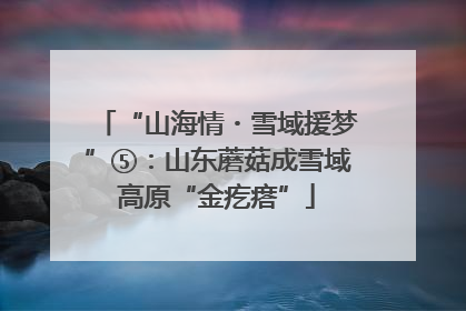 “山海情・雪域援梦”⑤：山东蘑菇成雪域高原“金疙瘩”
