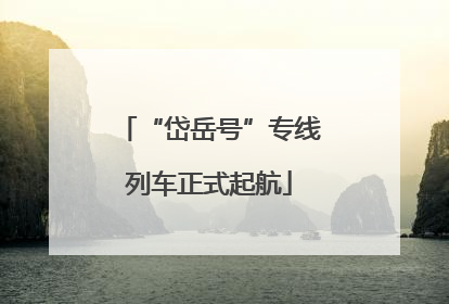 “岱岳号”专线列车正式起航