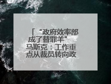 “政府效率部成了替罪羊” 马斯克：工作重点从裁员转向政府电脑系统
