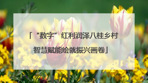 “数字”红利润泽八桂乡村 智慧赋能绘就振兴画卷