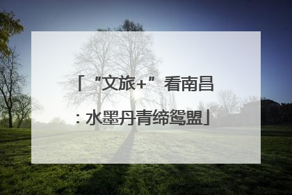 “文旅+”看南昌：水墨丹青缔鸳盟