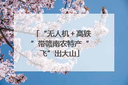 “无人机＋高铁”带赣南农特产“飞”出大山