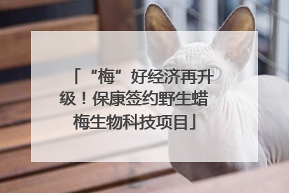 “梅”好经济再升级！保康签约野生蜡梅生物科技项目