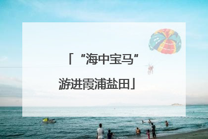 “海中宝马”游进霞浦盐田