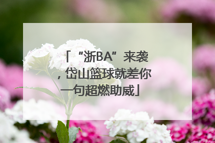 “浙BA”来袭，岱山篮球就差你一句超燃助威