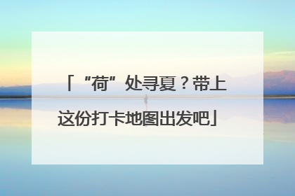 “荷”处寻夏？带上这份打卡地图出发吧