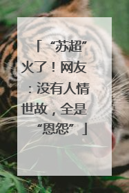 “苏超”火了！网友：没有人情世故，全是“恩怨”