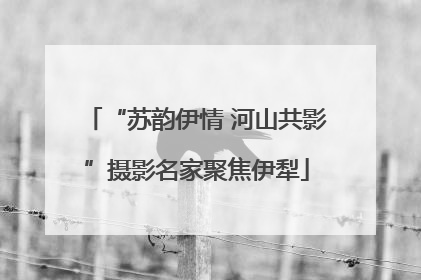 “苏韵伊情 河山共影”摄影名家聚焦伊犁