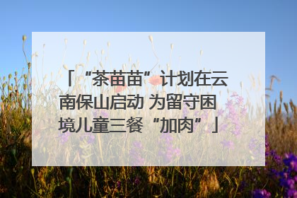“茶苗苗”计划在云南保山启动 为留守困境儿童三餐“加肉”