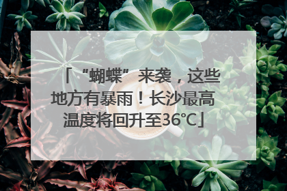 “蝴蝶”来袭，这些地方有暴雨！长沙最高温度将回升至36℃