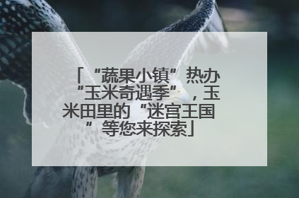 “蔬果小镇”热办“玉米奇遇季”，玉米田里的“迷宫王国”等您来探索